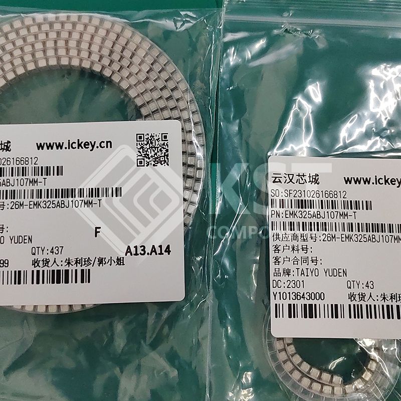 EMK325ABJ107MM-T