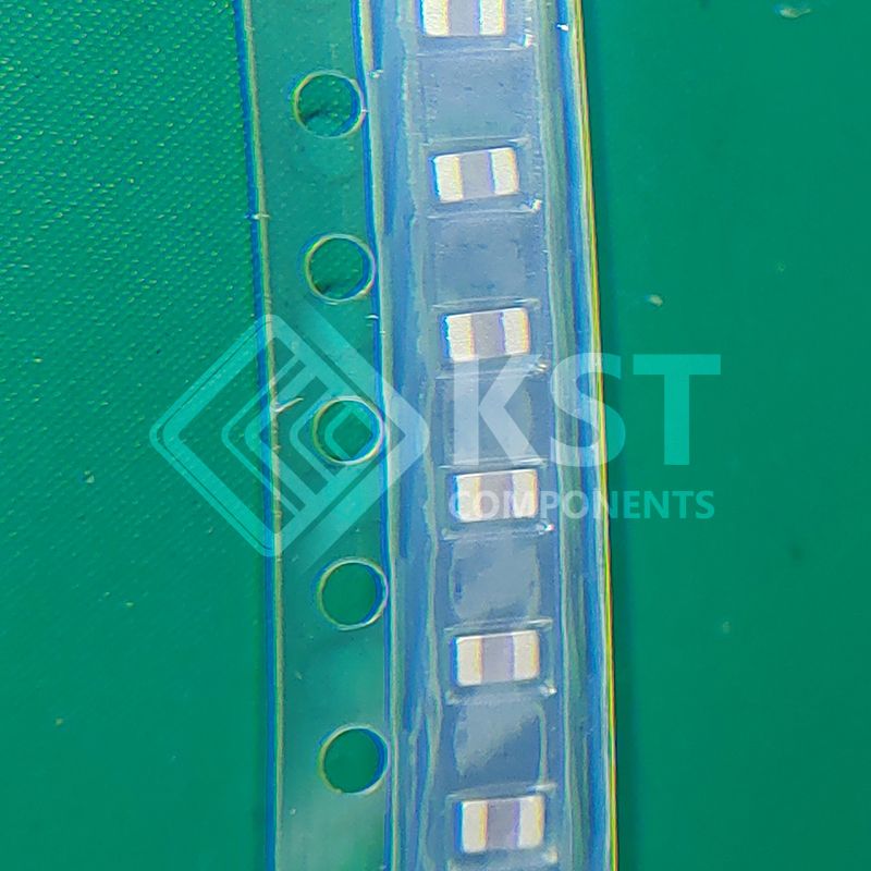 PRG21BB220MB1RK