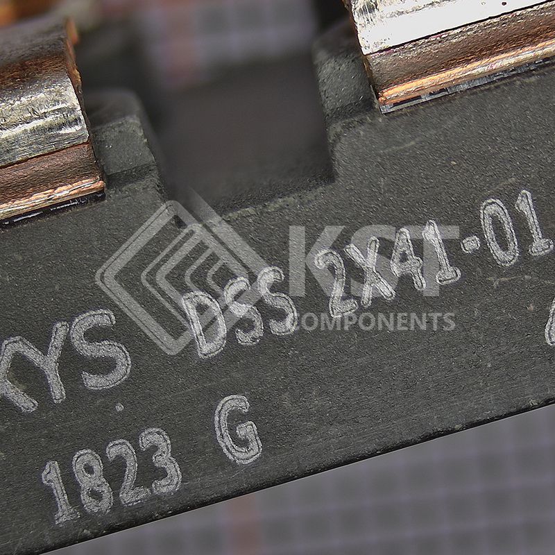 DSS2X41-01A