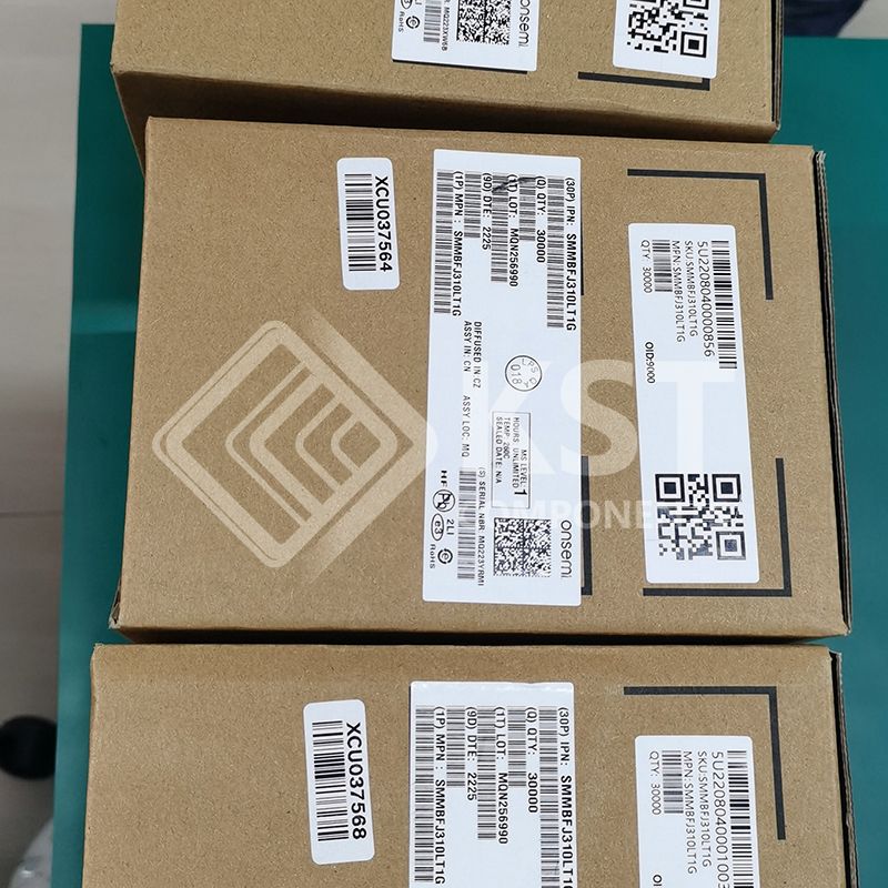 SMMBFJ310LT1G