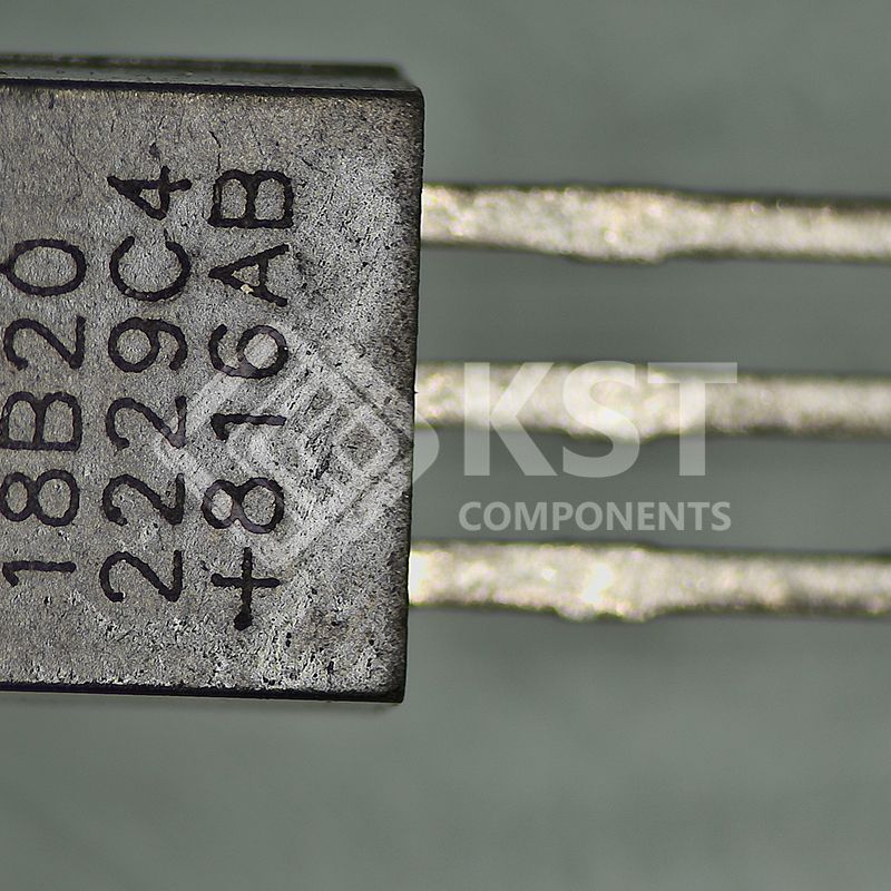 DS18B20