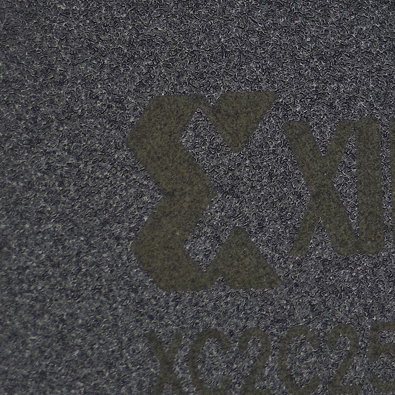 XC2C256-7VQG100I