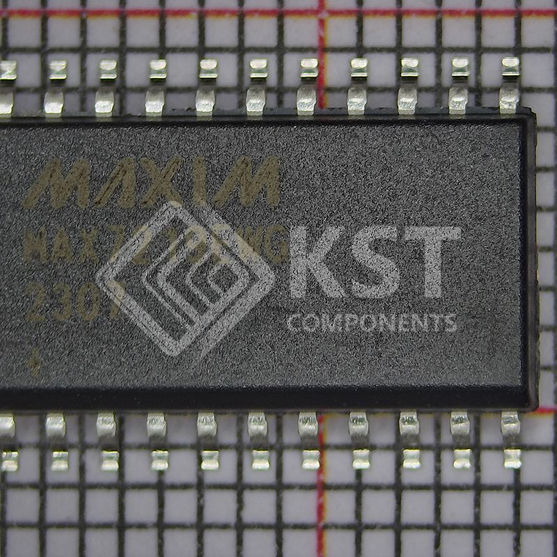 MAX7219EWG+T