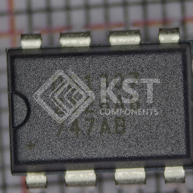 DS1307+