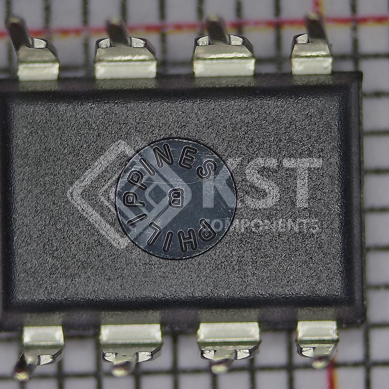 DS1307+