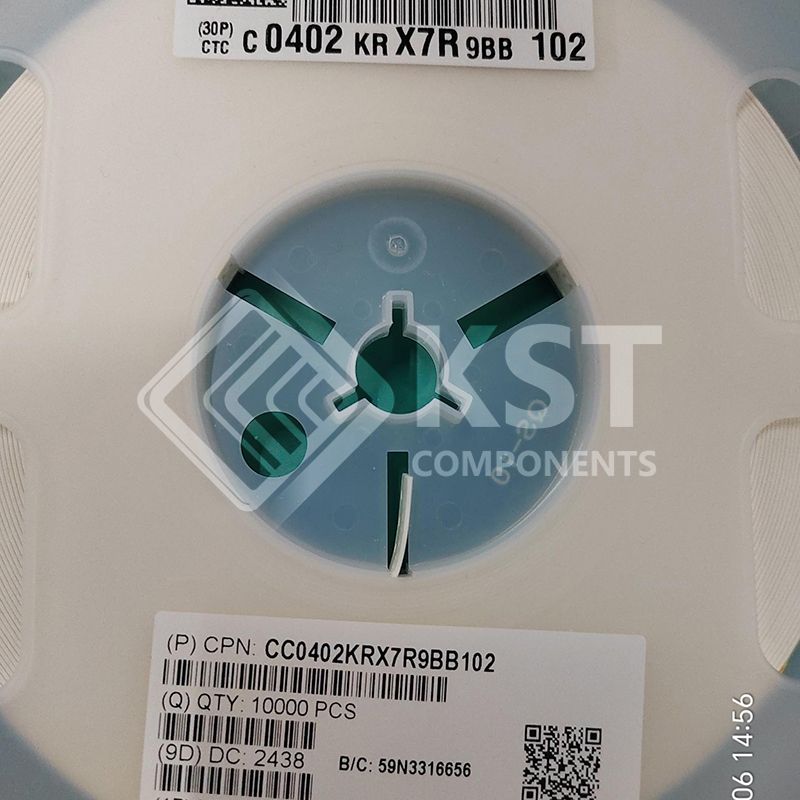 CC0402KRX7R9BB102