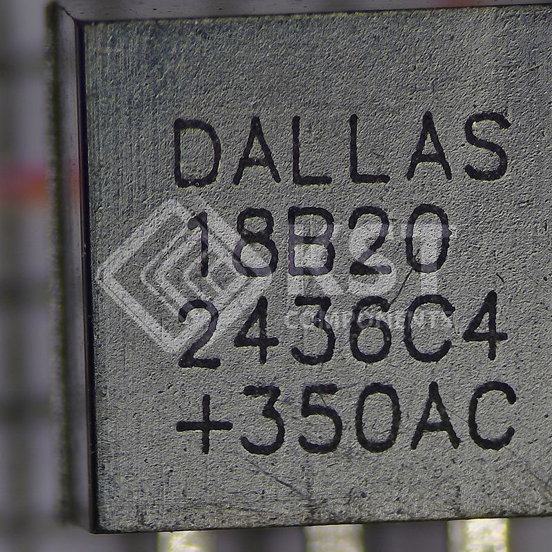 DS18B20+