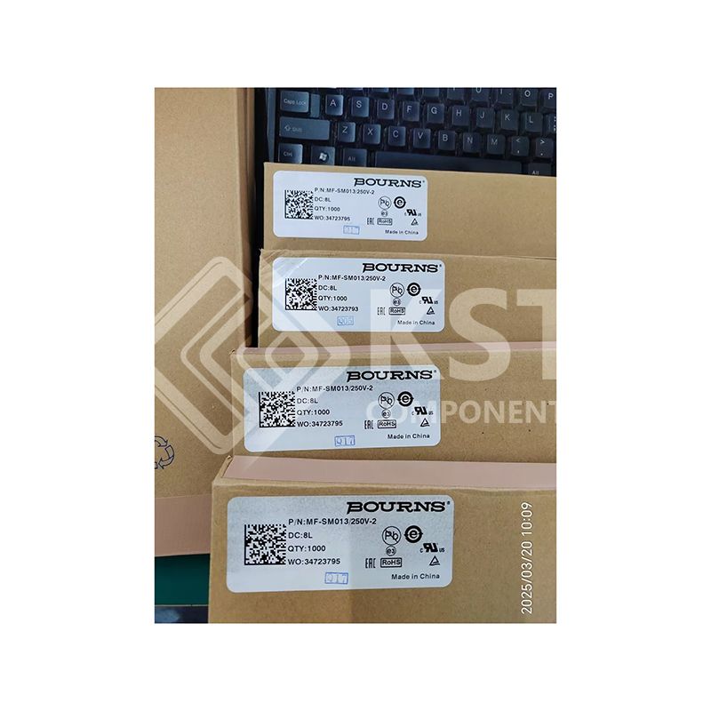 MF-SM013/250V-2