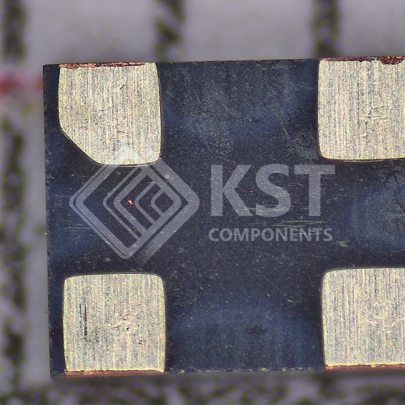 DSC1001DI1-025.0000T